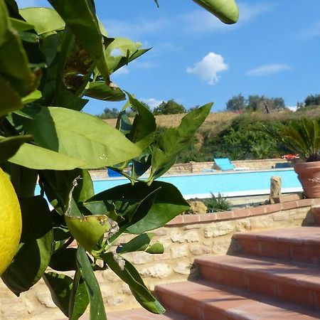 Bed and Breakfast Rifugio Dei Sogni Volterra Exterior foto