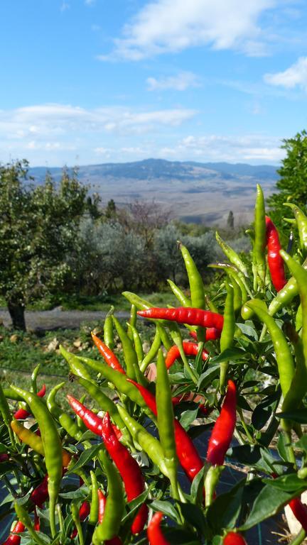 Bed and Breakfast Rifugio Dei Sogni Volterra Exterior foto