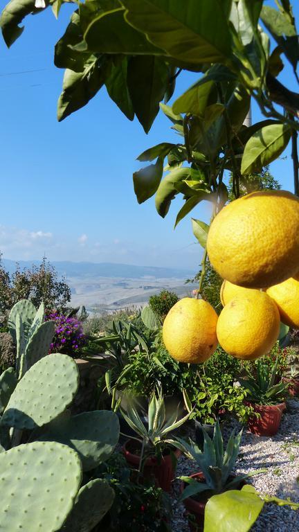 Bed and Breakfast Rifugio Dei Sogni Volterra Exterior foto