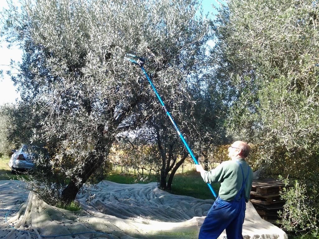 Bed and Breakfast Rifugio Dei Sogni Volterra Exterior foto